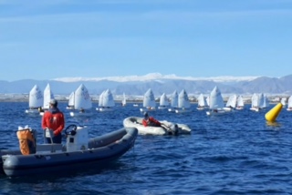 CAMPEONATO PROVICIAL DE OPTIMIST ALMERIMAR